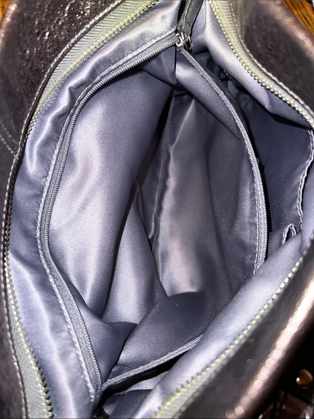 Coach Metallic Brooke Leather Pewter Hobo Bag